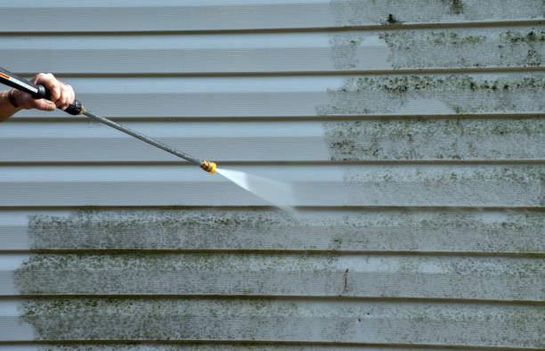 Best Patio and Deck Pressure Washing  in Cayuga, IN
